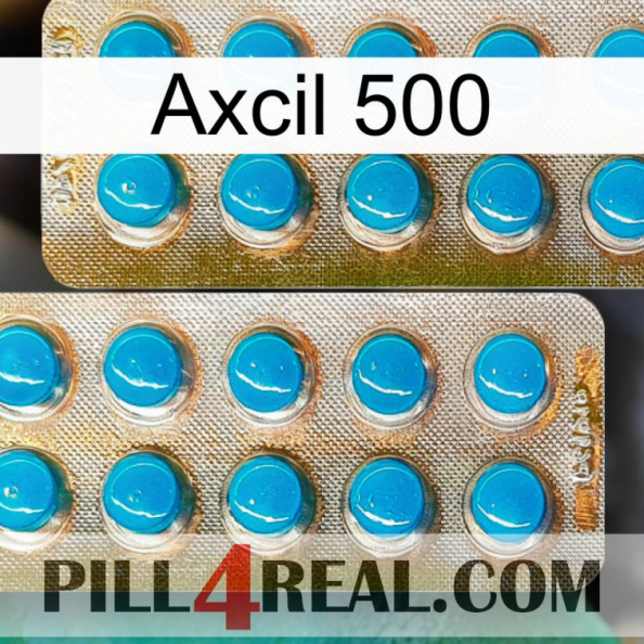 Axcil 500 new08.jpg